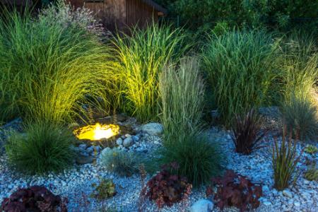 Landscape Lighting